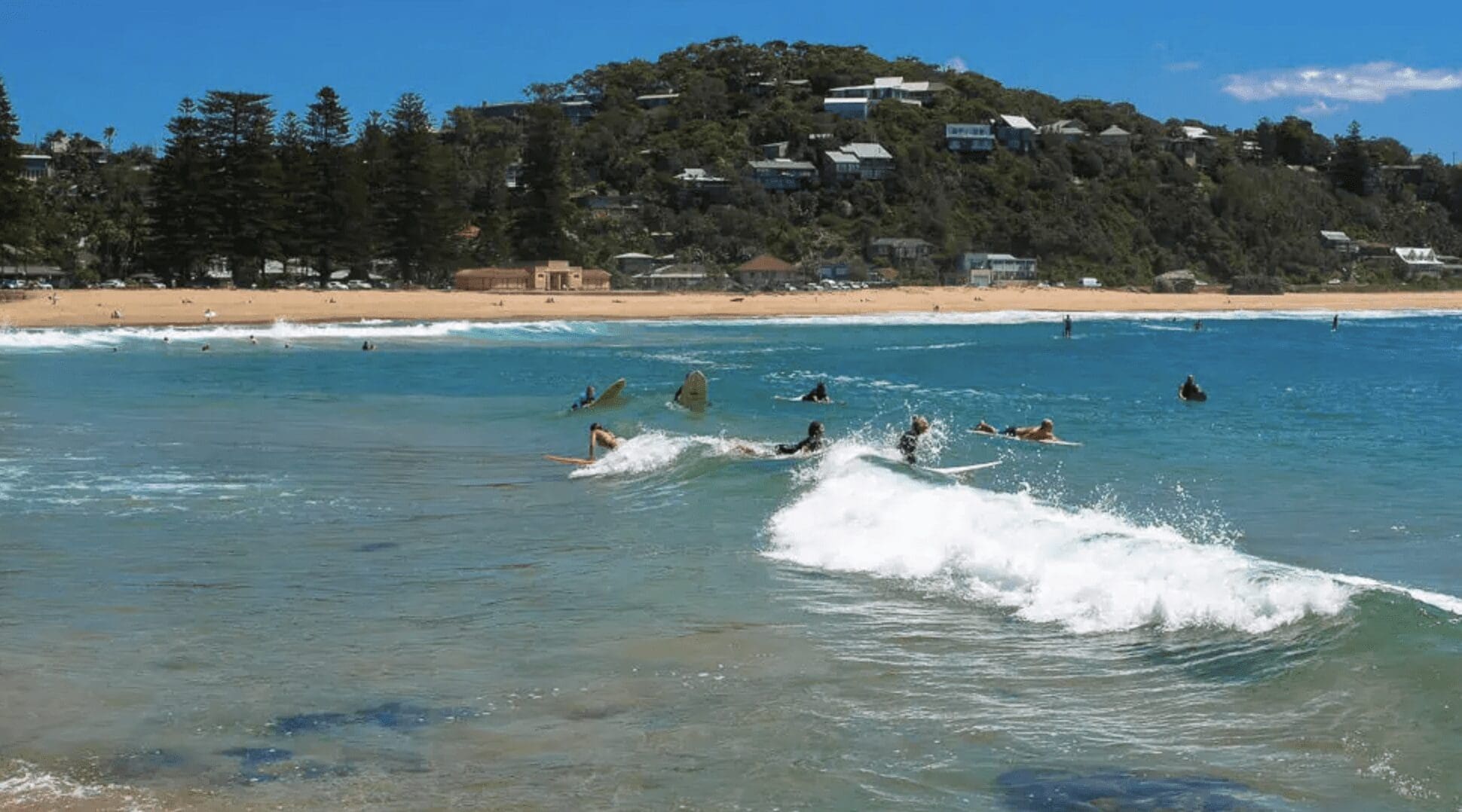 Palm Beach Property Sydney